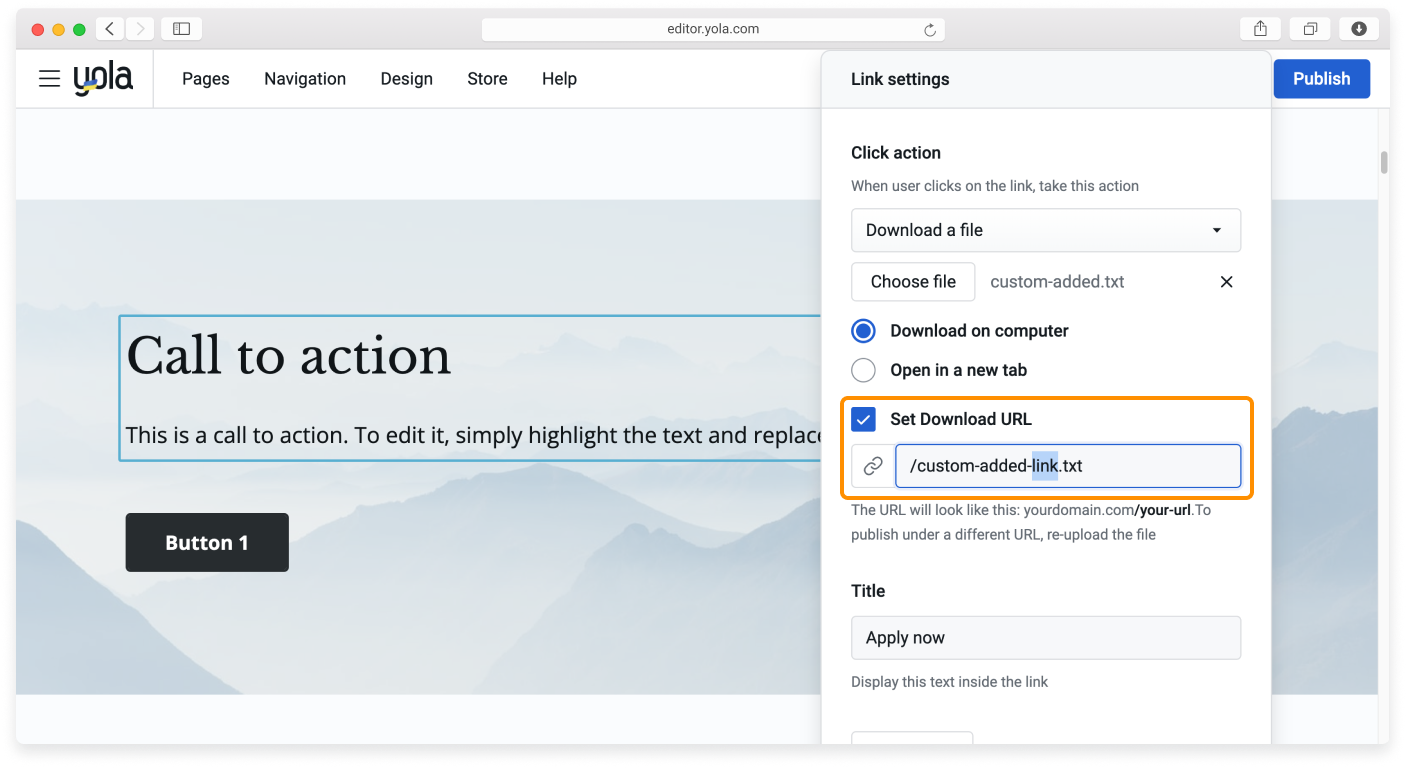 B2C - Custom URL - 4.png